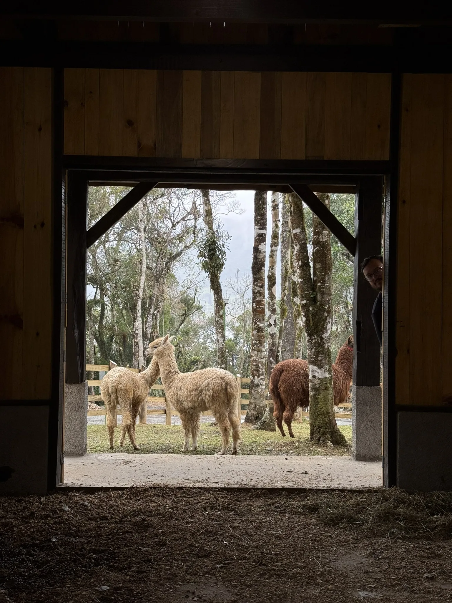 Foto Rancho Safari