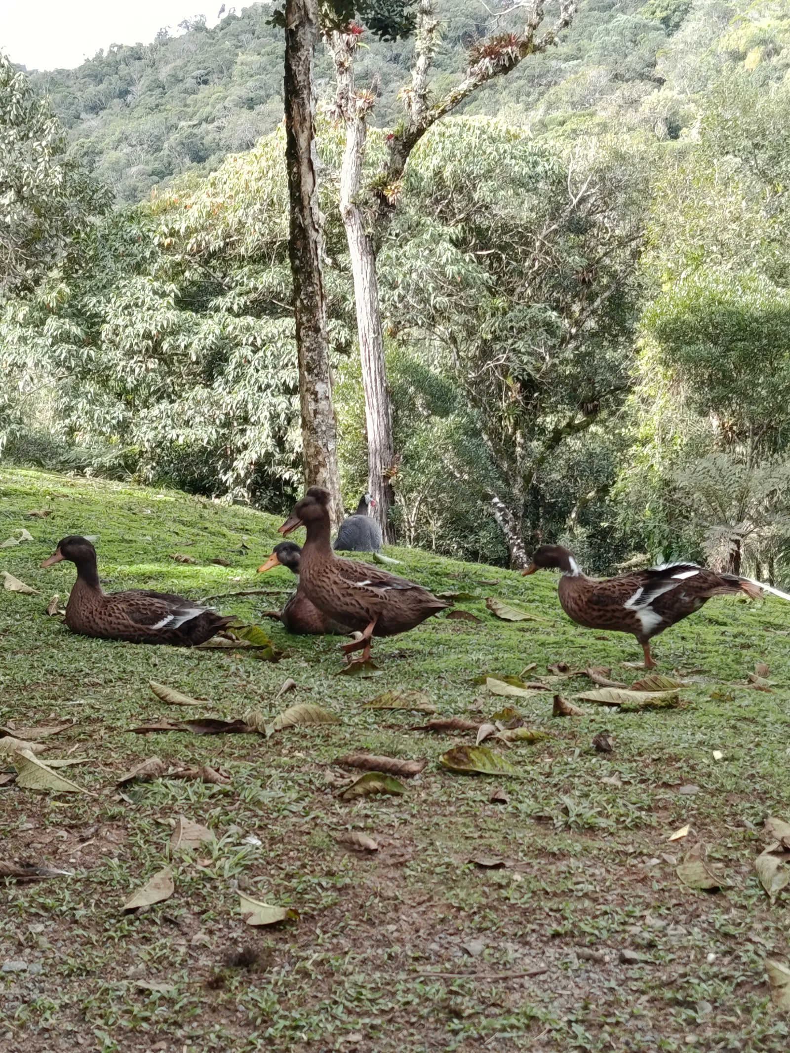 Foto Rancho Safari