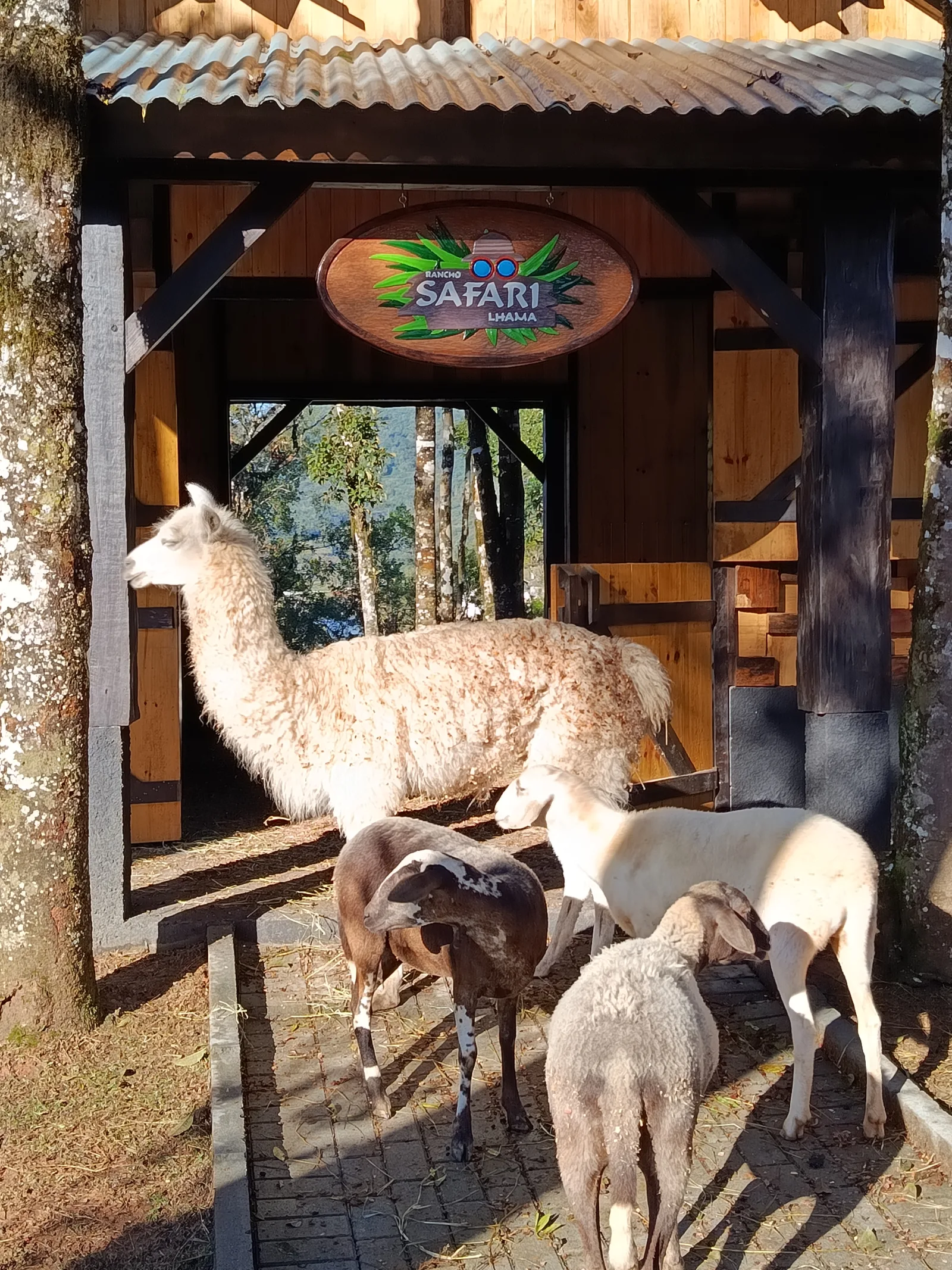Foto Rancho Safari