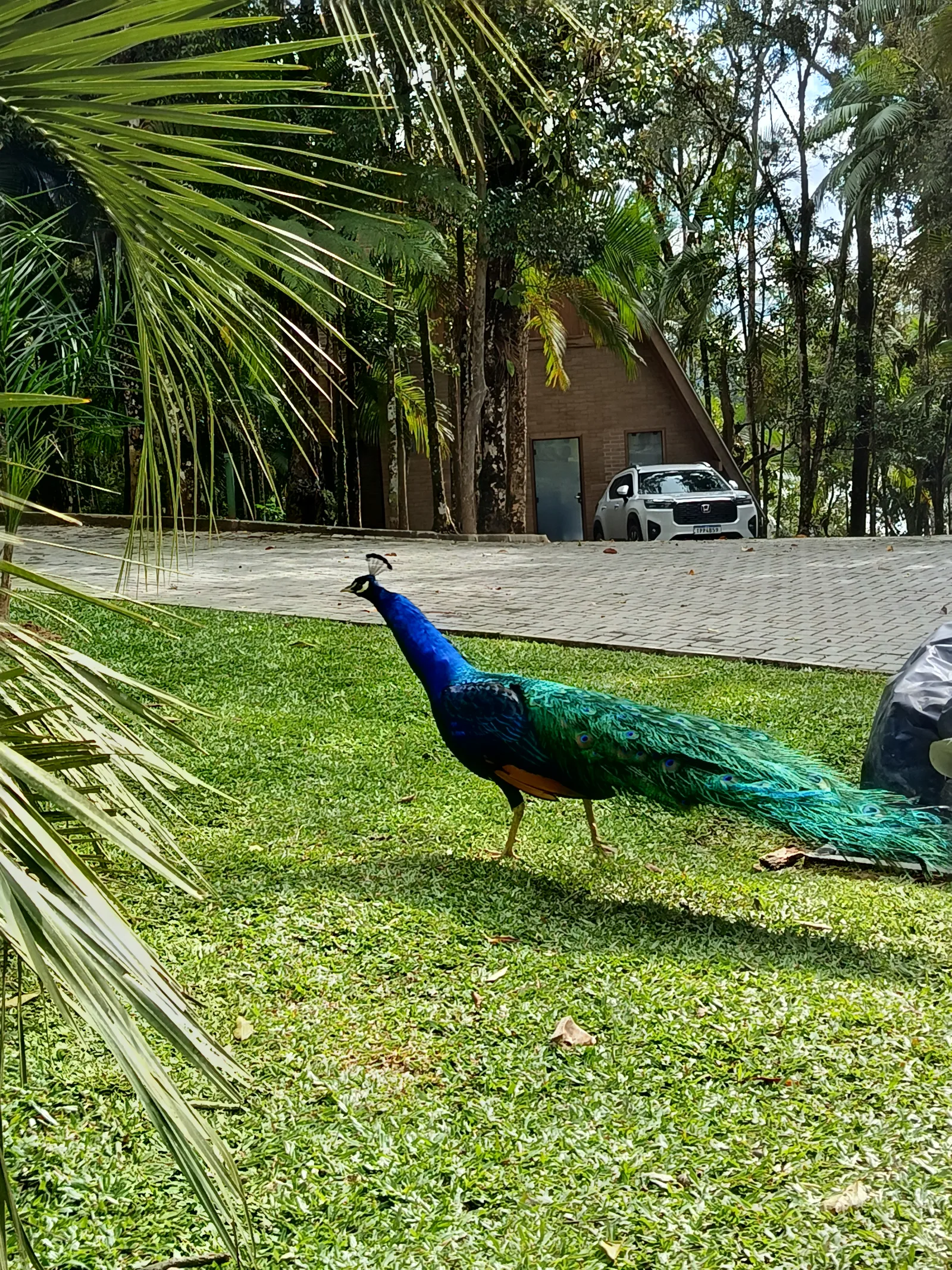 Foto Rancho Safari
