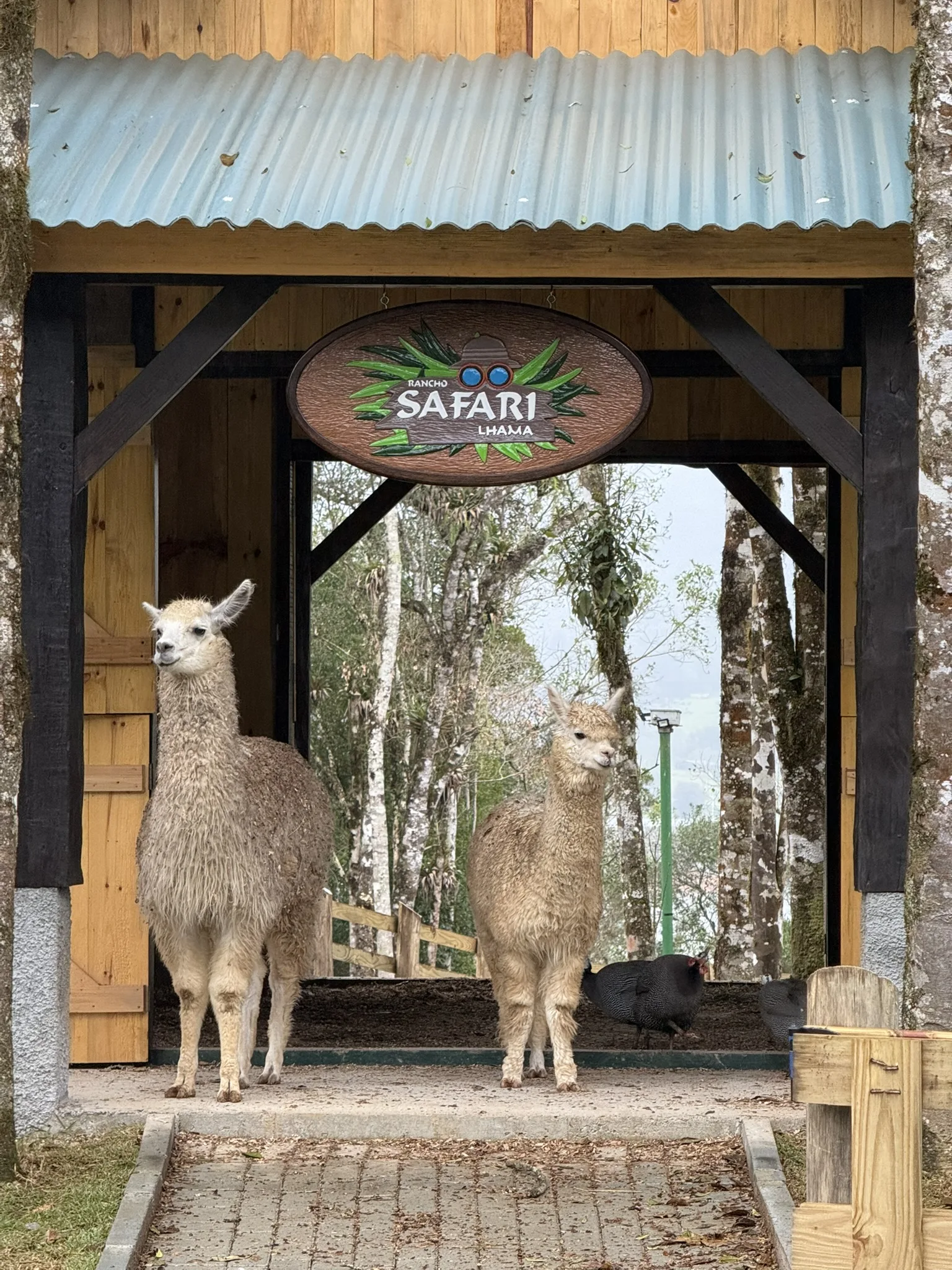 Foto Rancho Safari