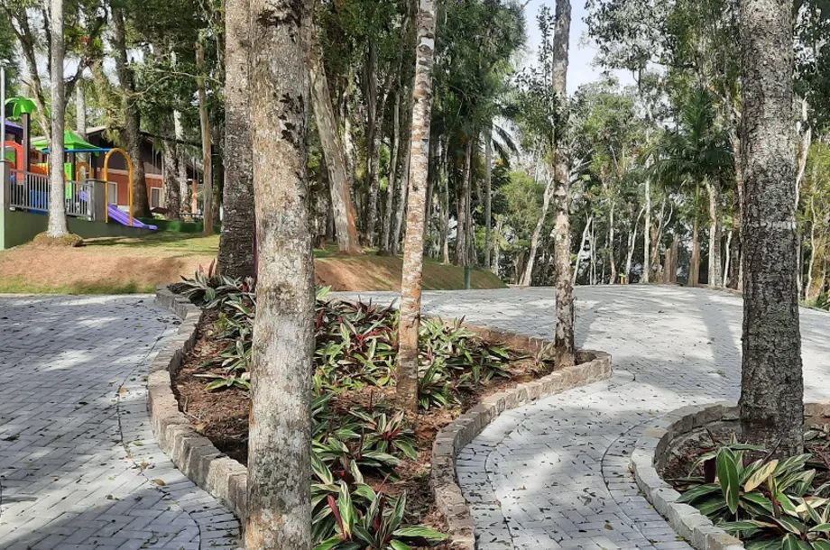 Espaço arborizado para caminhada